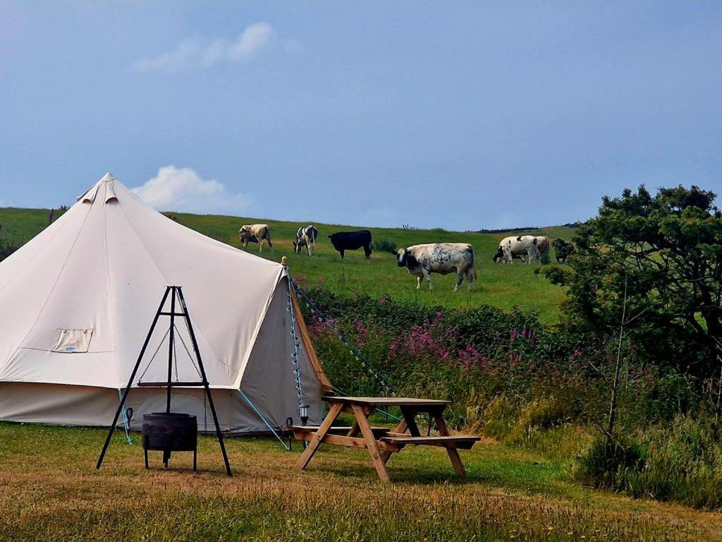 Beautiful 1-Bed Bell Tent In Holyhead Eksteriør billede